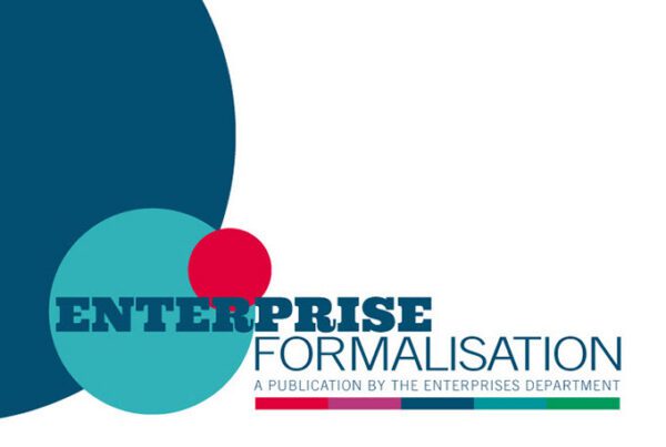 Newsletter layout for Enterprise Formalisation