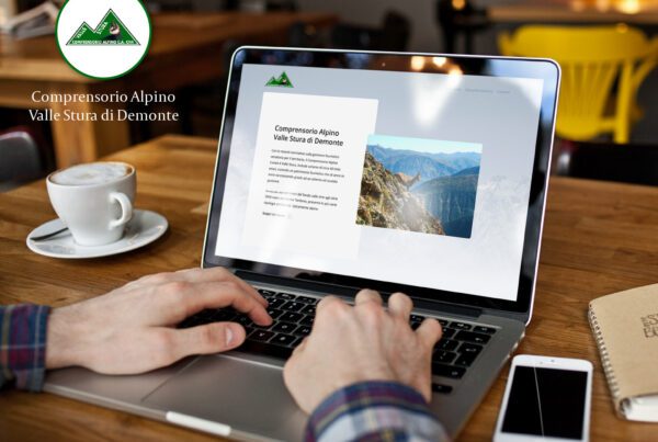 Web development
